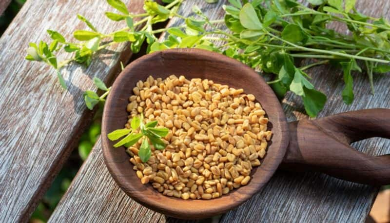 add Fenugreek in your diet for diabetes control