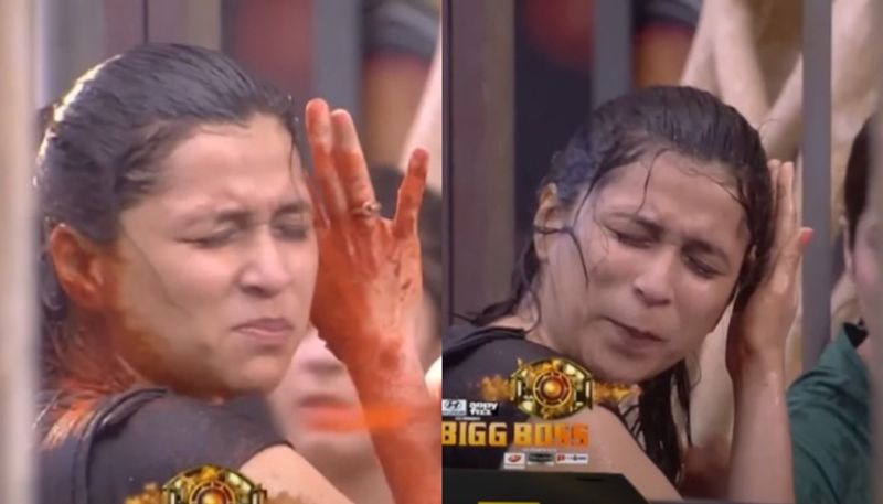 Bigg Boss 17: Nomination task turns intense when housemates show their ruthless side RKK