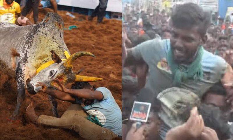 Request to provide government job to best player who wins jallikattu competition KAK