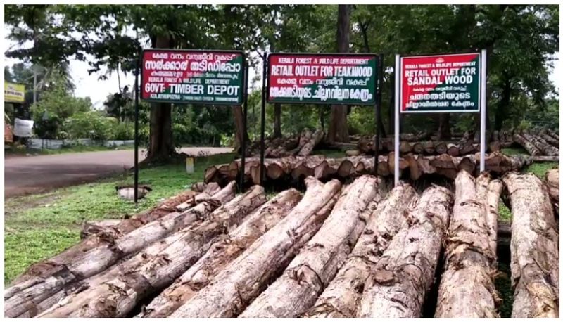 Get teak wood from forest department depot directly as the sale start from next week afe