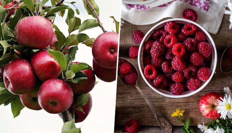 Berries to Apple: 7 fruits you must eat to keep up with ageing ATG EAI