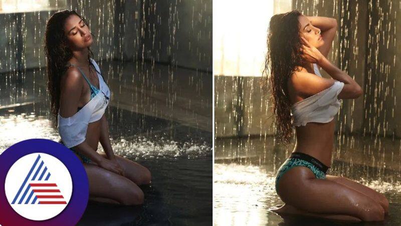 bollywood actress disha patani flaunting her curvy figure and thin waist in a bikini see photos gvd