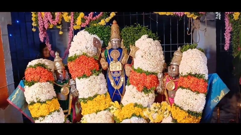 special pooja held at thiruthani murugan temple for pongal festival vel