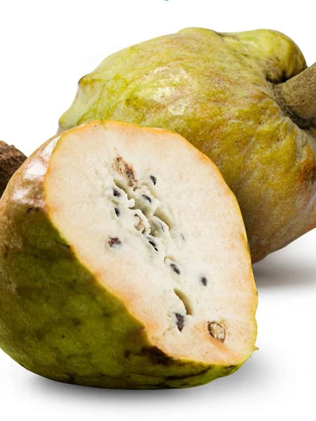 Health Benefits of Ramphal Sitafal Custard Apple rav