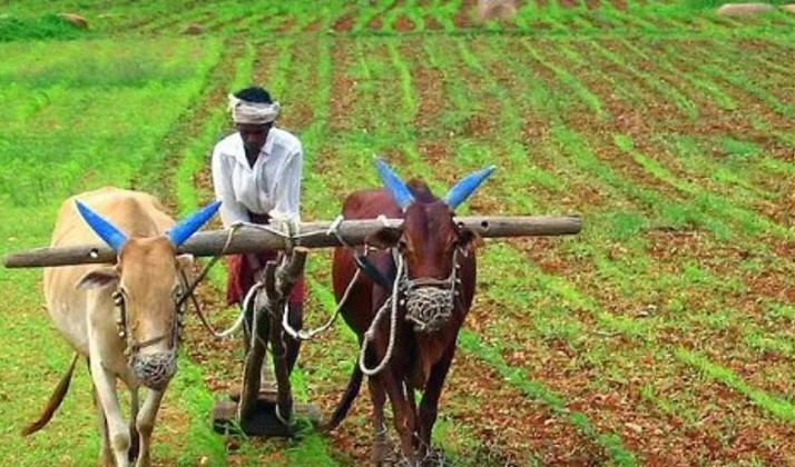 PM Kisan Yojana 18th installment to be credited to farmers bank accounts on THIS date