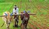 Rythu Bharosa Scheme: Telangana Farmers Await Clarity Amid Policy Changes AKP