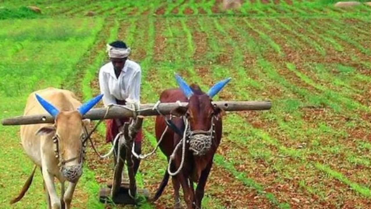 farmer