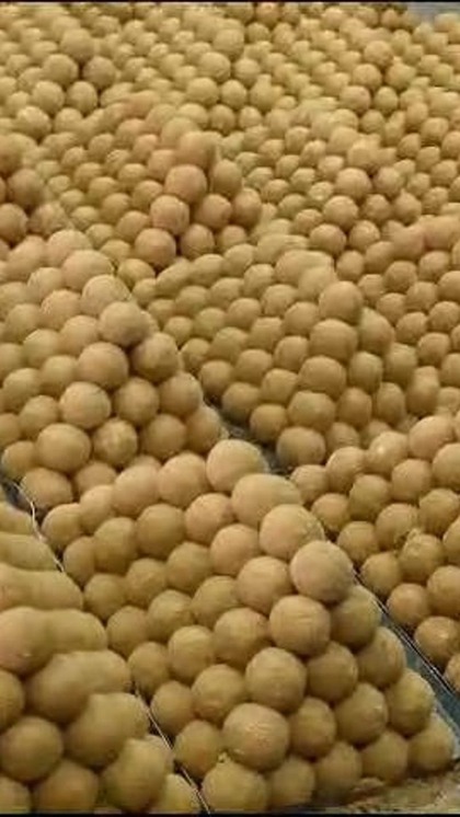 <p>राम जन्म भूमि के लिए श्रीकृष्ण की जन्मभूमि मथुरा से 200 किलो लड्डू भेजे गए हैं। जिसे खास मेवे और मिश्री से तैयार किया गया है। लड्डू की संख्या 1.11 लाख से ज्यादा होगी।</p>

<p> </p>

<p> </p>
