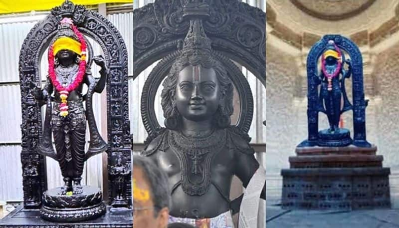 Ram Mandir inauguration Did you know Ram Lalla idol depicts 10 Vishnu avatars significant symbols of Sanatan Dharma gcw