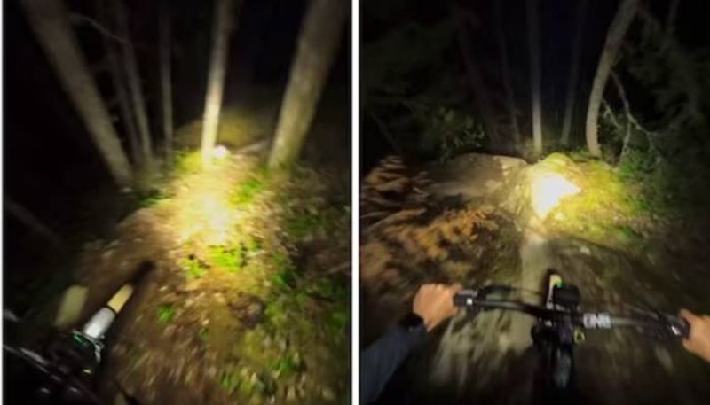 cycle ride in dark forest path rlp