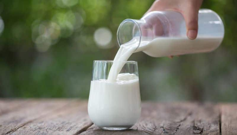 Cow or buffalo, which milk is good for your bone health?  rsl