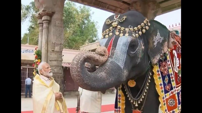 cadres did warm welcome to pm narendra modi at srirangam in trichy vel