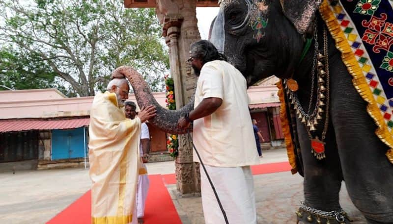 PM Modi offers prayers at Sri Rangam temple seeks blessings from elephant PHOTOS gcw