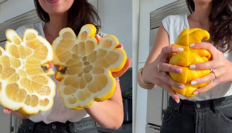 unusual shape and size of lemon amazed millions of viewrs