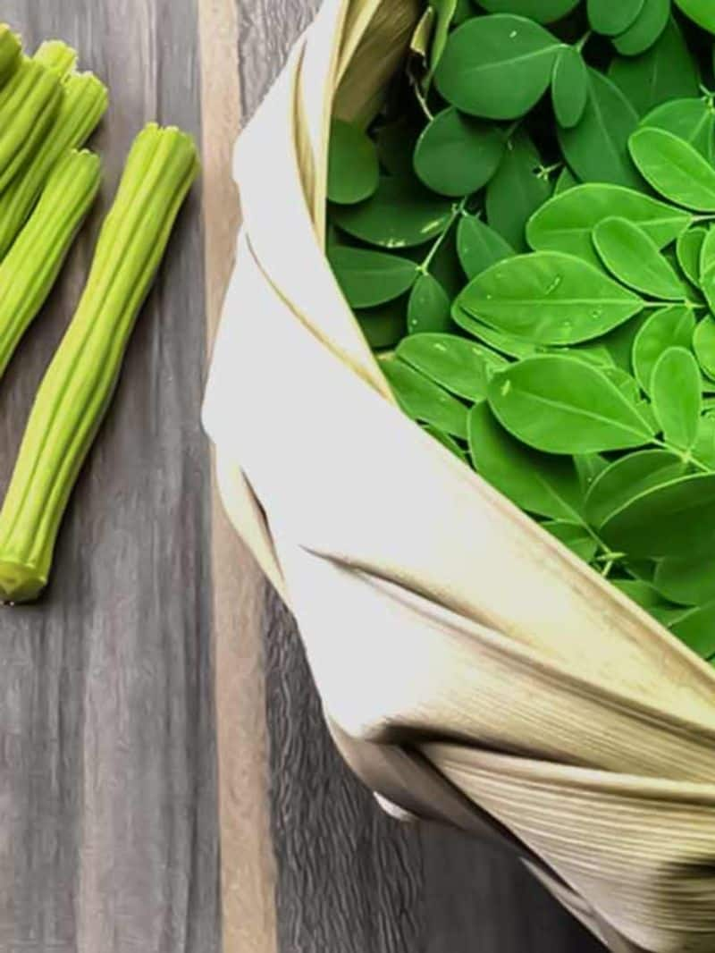 Do Drumstick Leaves Help Manage Blood Sugar Levels? ram 