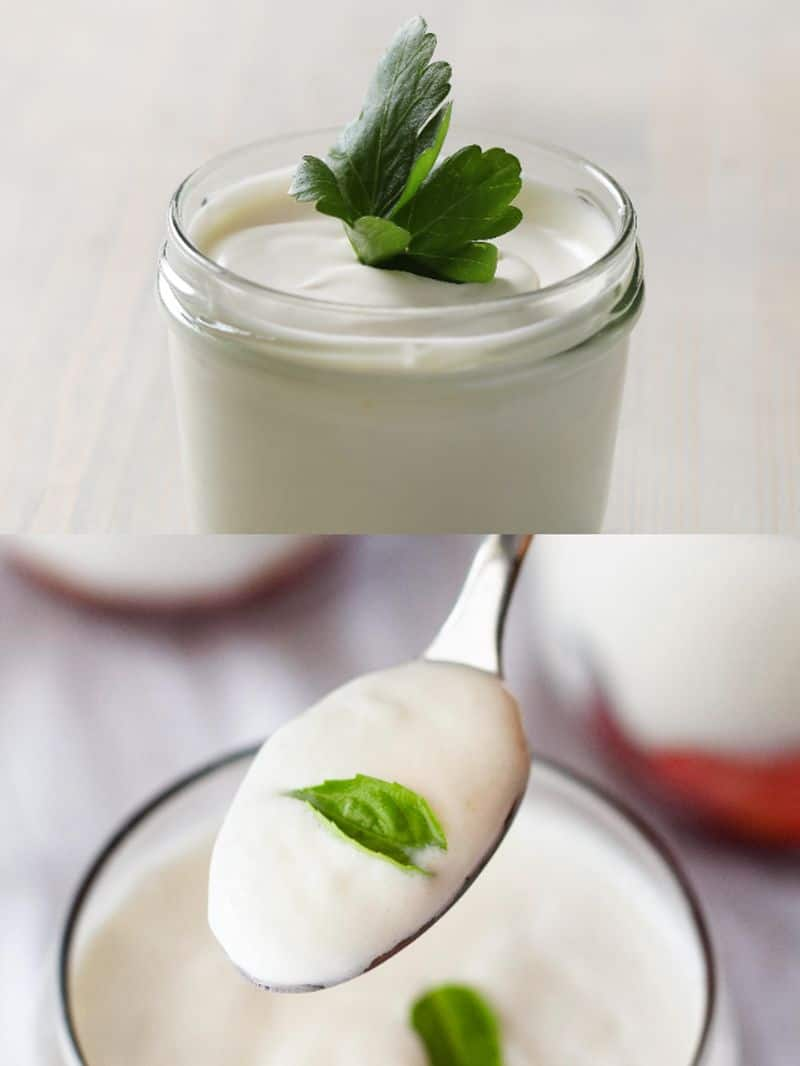 Curd vs Yogurt: Know the real differences, uses, benefits and more rkn