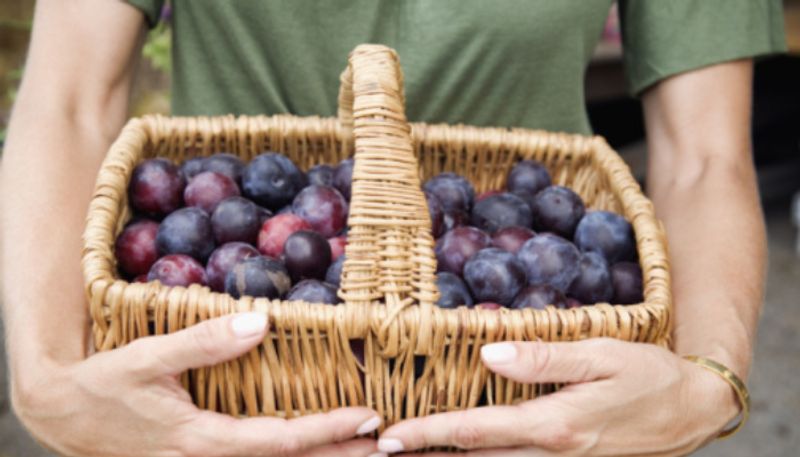 health benefits of eating plum