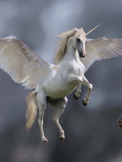 Unicorn