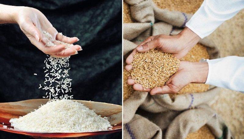 Shocking study reveals Indian rice and wheat face nutritional decline and arsenic surge; are you at risk? snt