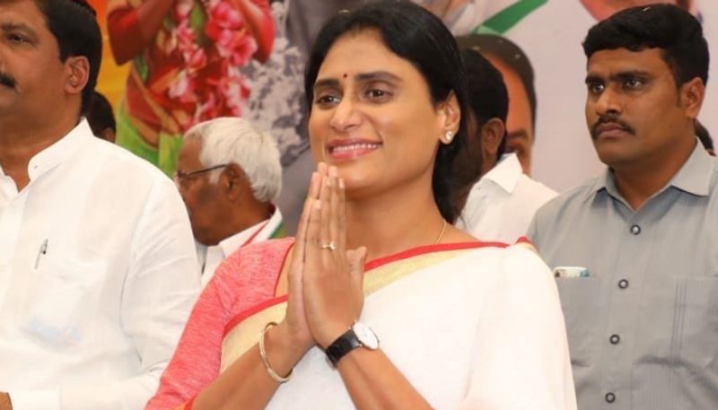 Y.S.Sharmila Focuses on Kadapa District lns