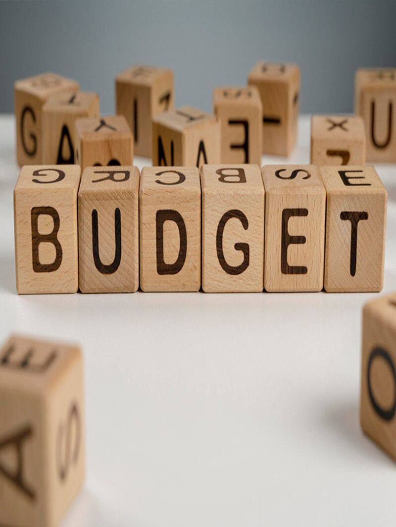 Budget 2024 Check out key difference between interim and regular budget gcw