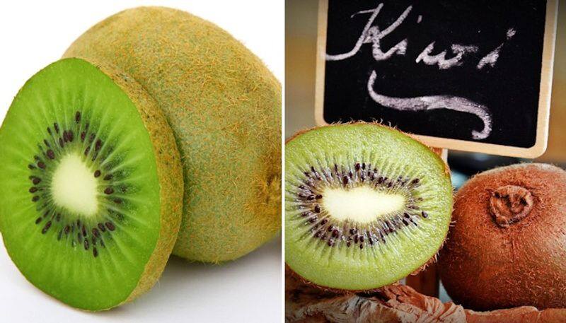 Antioxidant to digestive properties: 7 benefits of Kiwi in Winter ATG EAI