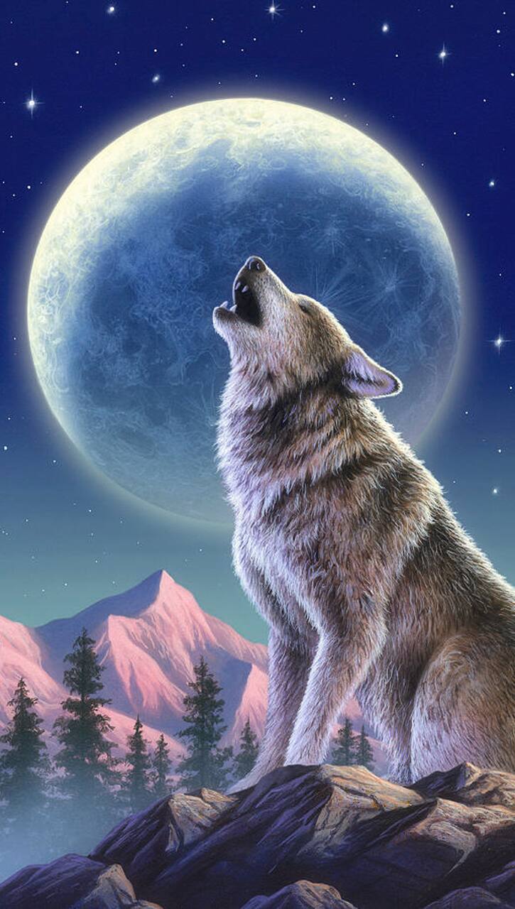 know Ten Interesting Facts About Wolves