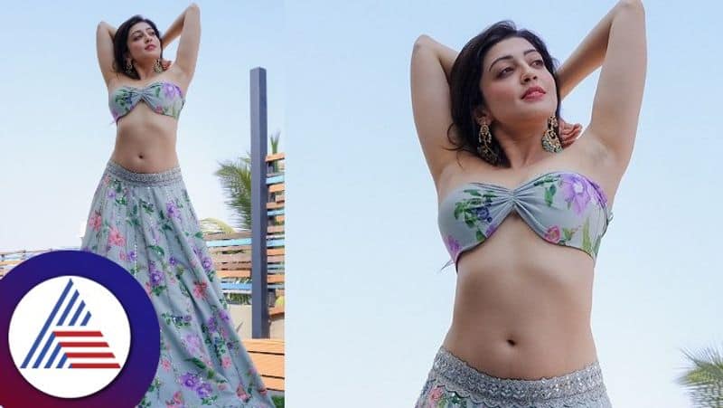 Porki Fame Actress Pranitha Subhash Stunning Comeback Photoshoot See Her Pics gvd