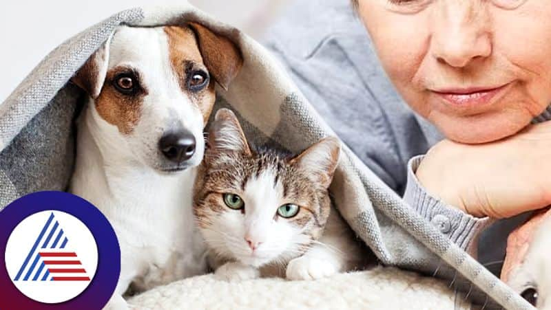 Elderly Woman Leaves Twenty Three Crores Assets To Beloved Pets roo