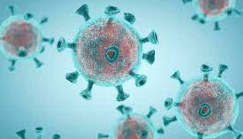 Explained: What is 'Parrot Fever', affecting several people in European countries? Know its symptoms & more