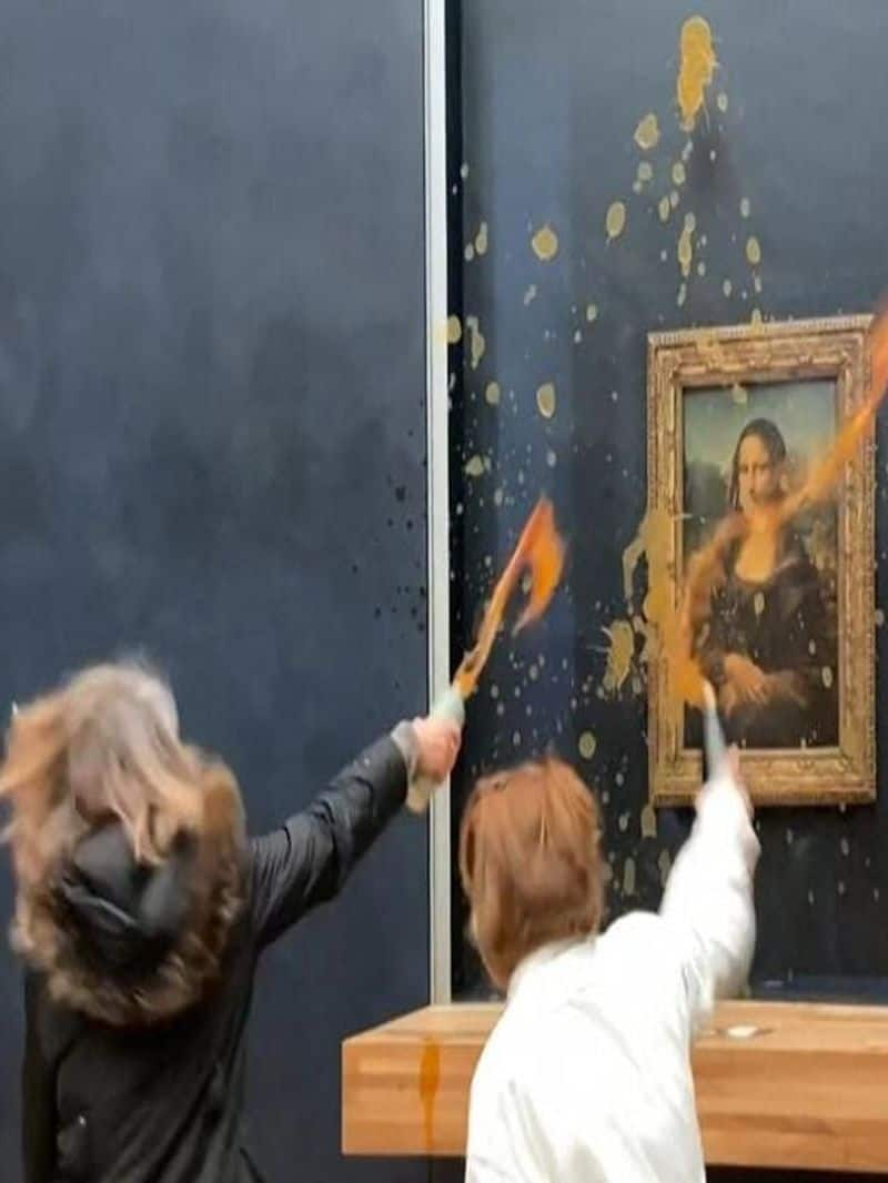 Protesters throw soup at Leonardo da Vinci painting zkamn