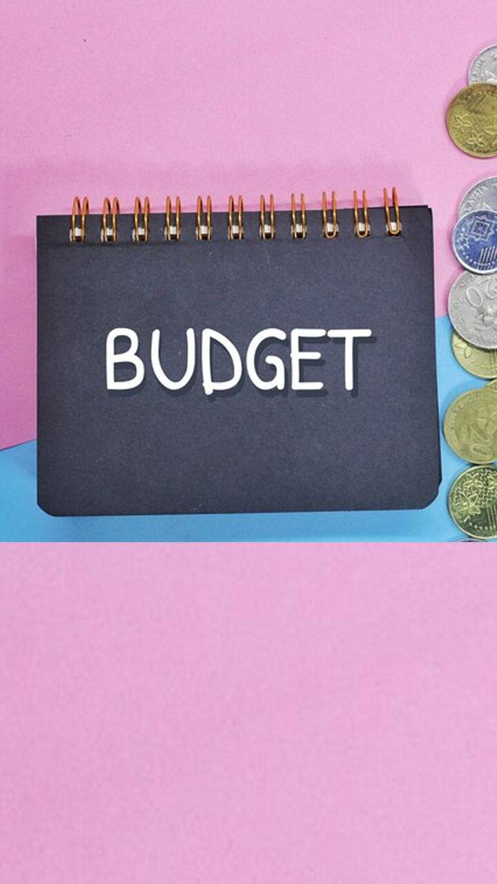 Interim Budget 2024 5 interesting facts you must know gcw