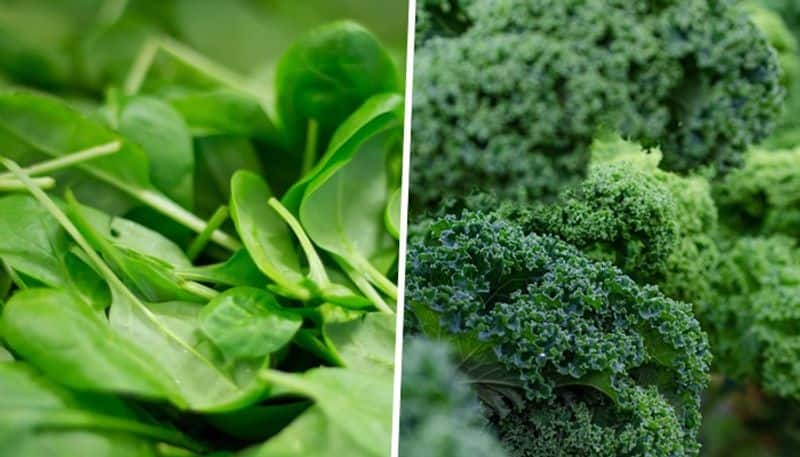 Kale to Broccoli: 7 iron-rich vegetables to boost your nutritional intake ATG EAI