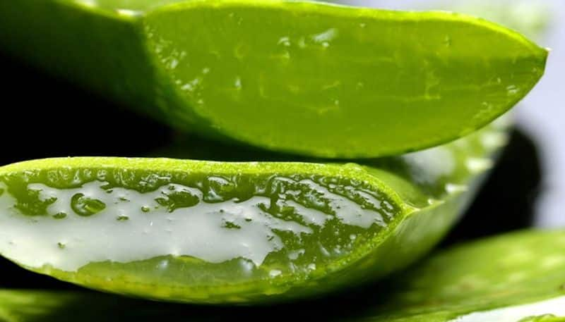 aloe vera for healthy and glow glow skin 