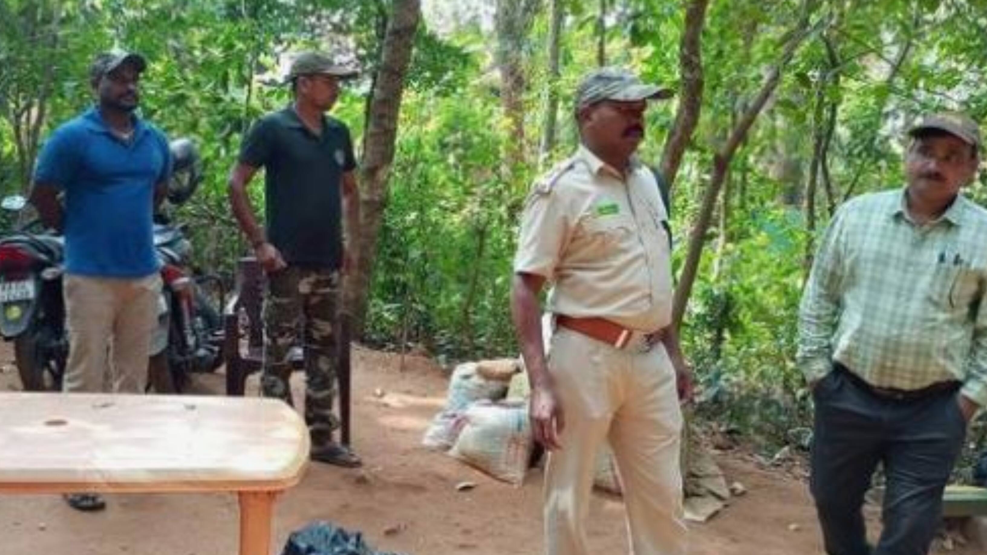 Forest Dept