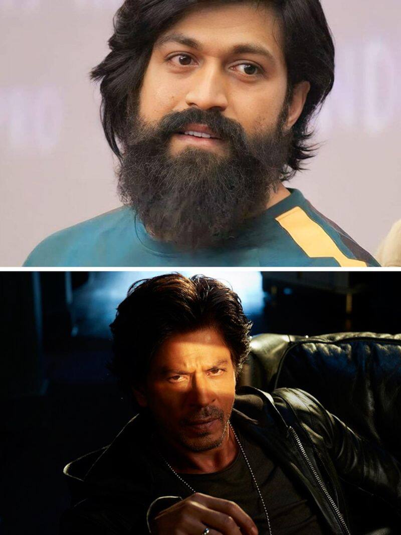 Shah Rukh Khan, 'KGF' actor Yash to star in film? Details here RKK