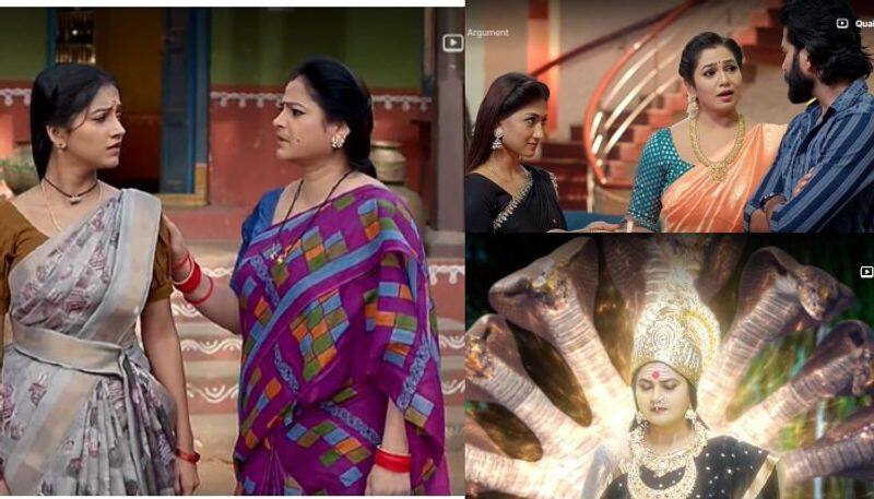 NagaPanchami 30th January Episode:Naga Devatha Persuades Phanindra ram