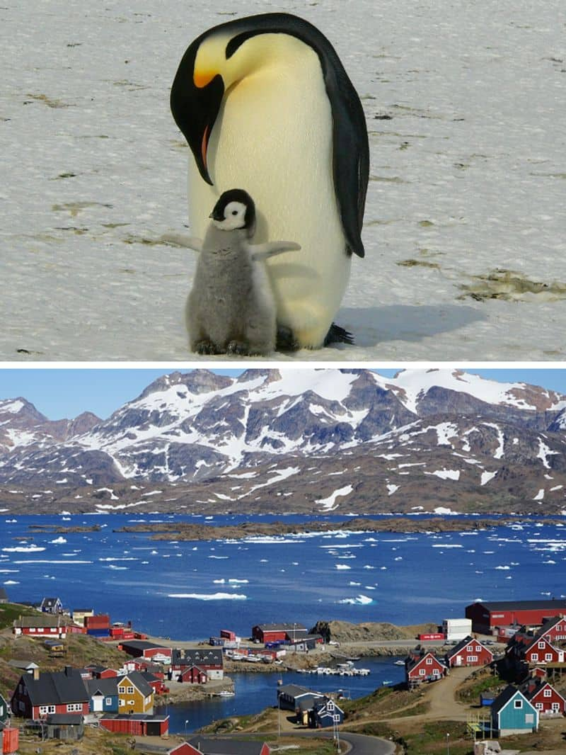 Antarctica to Greenland: 7 pristine places on Earth ATG