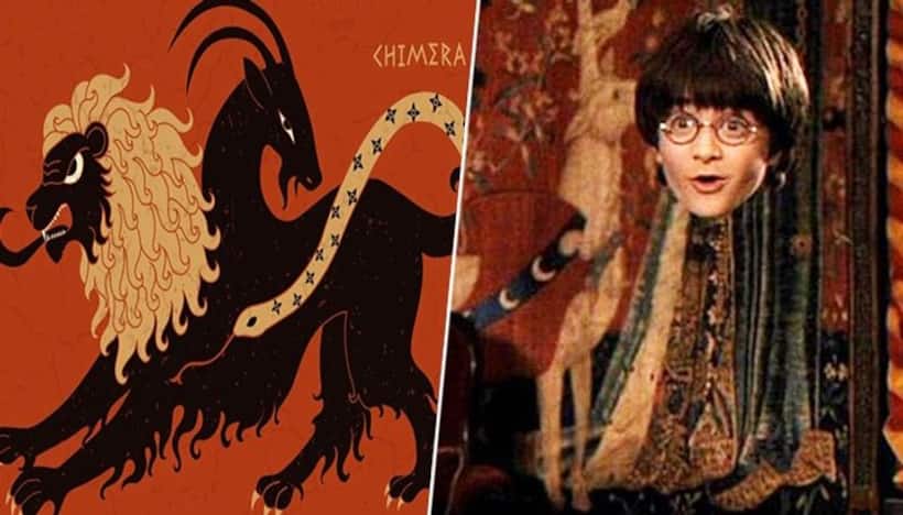 Scientists channel Harry Potter magic; make 'invisibility cloak' with traits of chameleon, glass frog & more