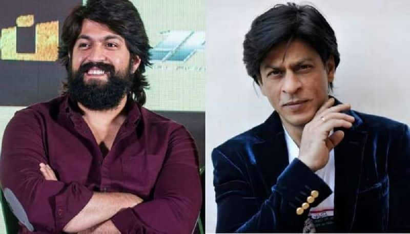 Shah Rukh Khan And Kgf Star Yash Likely To Be Collaborate For New Movie gvd