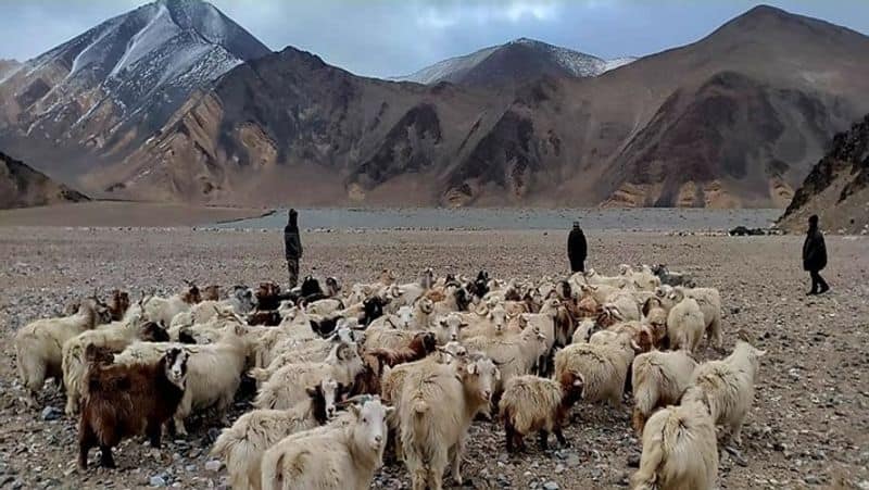 Indian graziers confront Chinese soldiers in eastern Ladakh smp