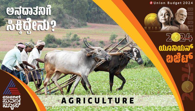 Interim Union Budget 2024 agriculture sector gets low allocation boosting farmers income anu