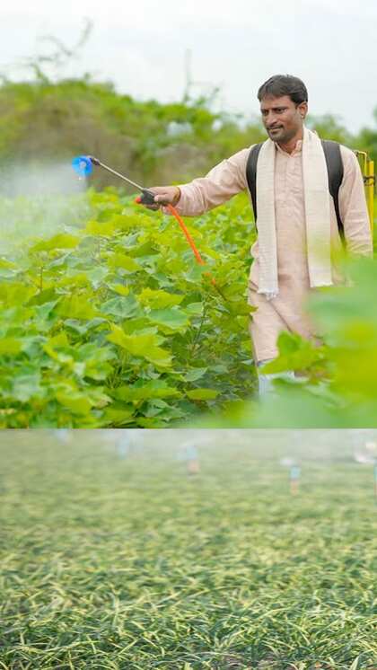 PM Kisanలో ఎంతమంది రైతులు