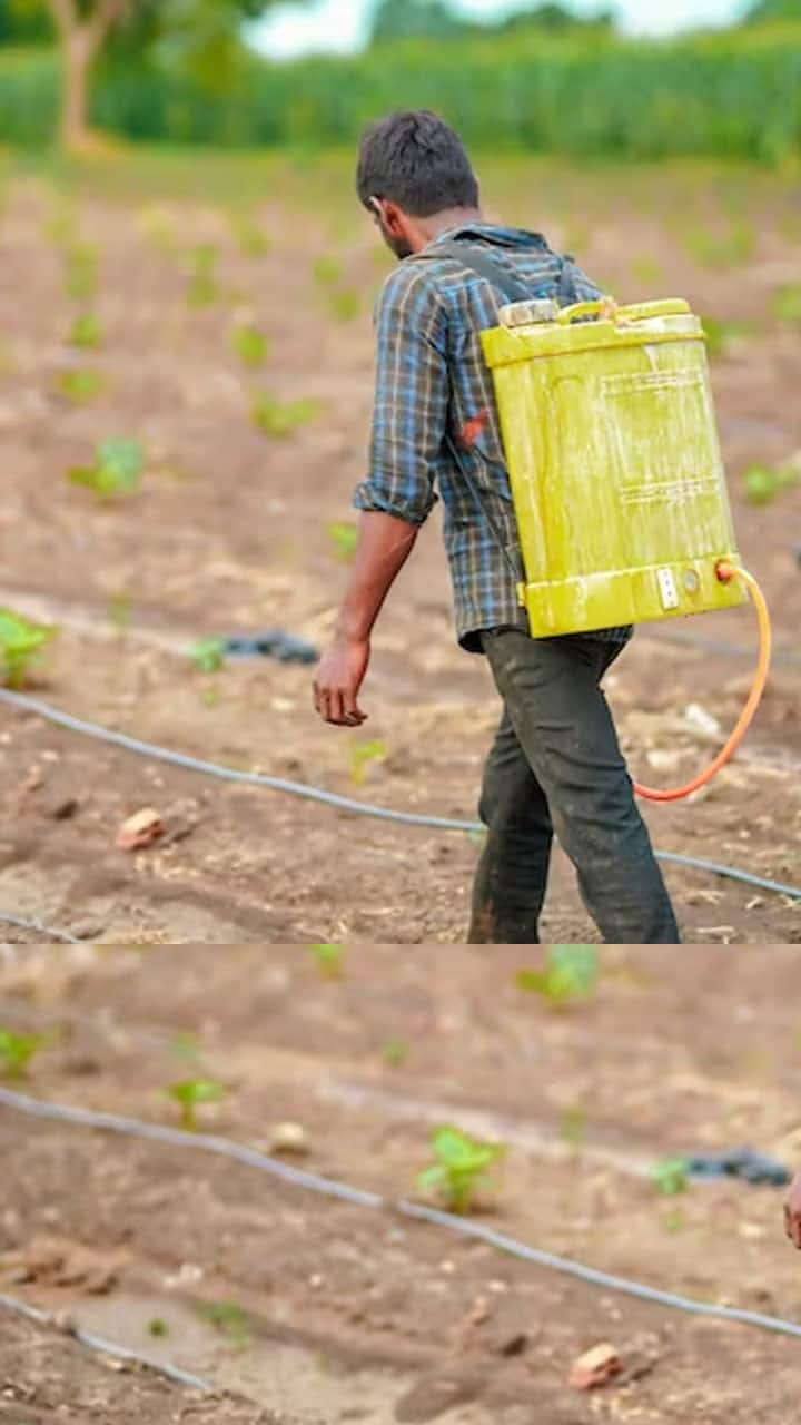 A Farmer in Rajasthan Who Makes Crores from Aloe Vera Cultivation harish farmer rajasthan delhi-border-farmers-protest iwh