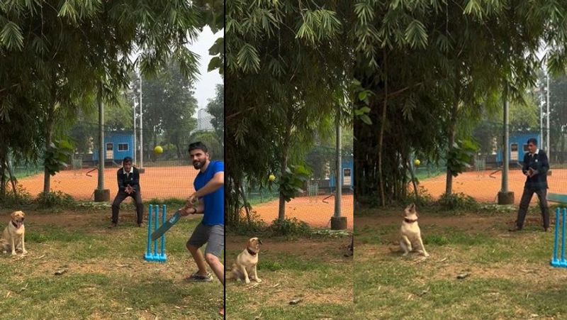 Cricket playing with kids Exciting fielding by the dog, beautiful catch netizens say this dog get 90 misscal from BCCI akb