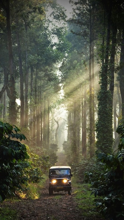 2. Wayanad, Kerala: