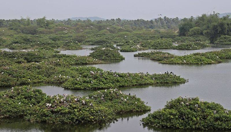 World Wetlands day 2024 tamilnadu tops with 16 ramsar sited in india ans