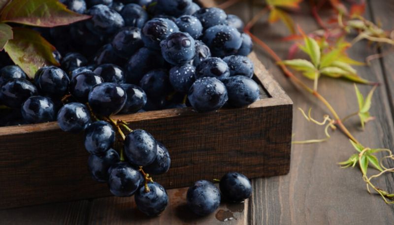 benefits of black grapes you must know 