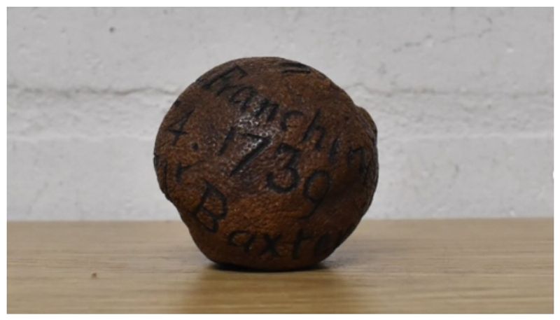 285 year old lemon was in old cabinet and auctioned big amount