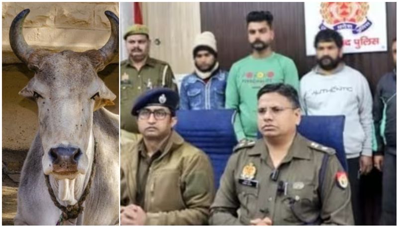 Bajrang Dal members arrested over cow slaughtering  prm 